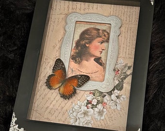 Victorian Style Framed Butterfly Shadowbox Oddity