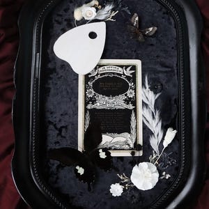 Antica carta funebre con esposizione del lutto con planchette Ouija farfalla entomologia stranezza