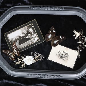 Antique Post Mortem Mourning Funeral Photo with Funeral Card Butterfly Entomology Oddity Display