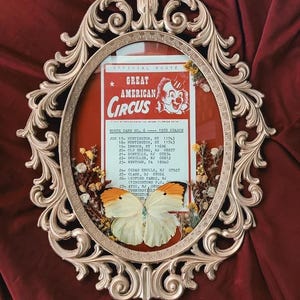 Tarjeta de ruta de payasos de circo vintage con mariposas y rarezas