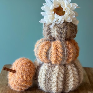 May include: A stack of three knitted pumpkins in shades of orange, brown, and cream, topped with a white flower. A single pumpkin and cinnamon sticks are placed to the side. The pumpkins are a fall-themed decoration.