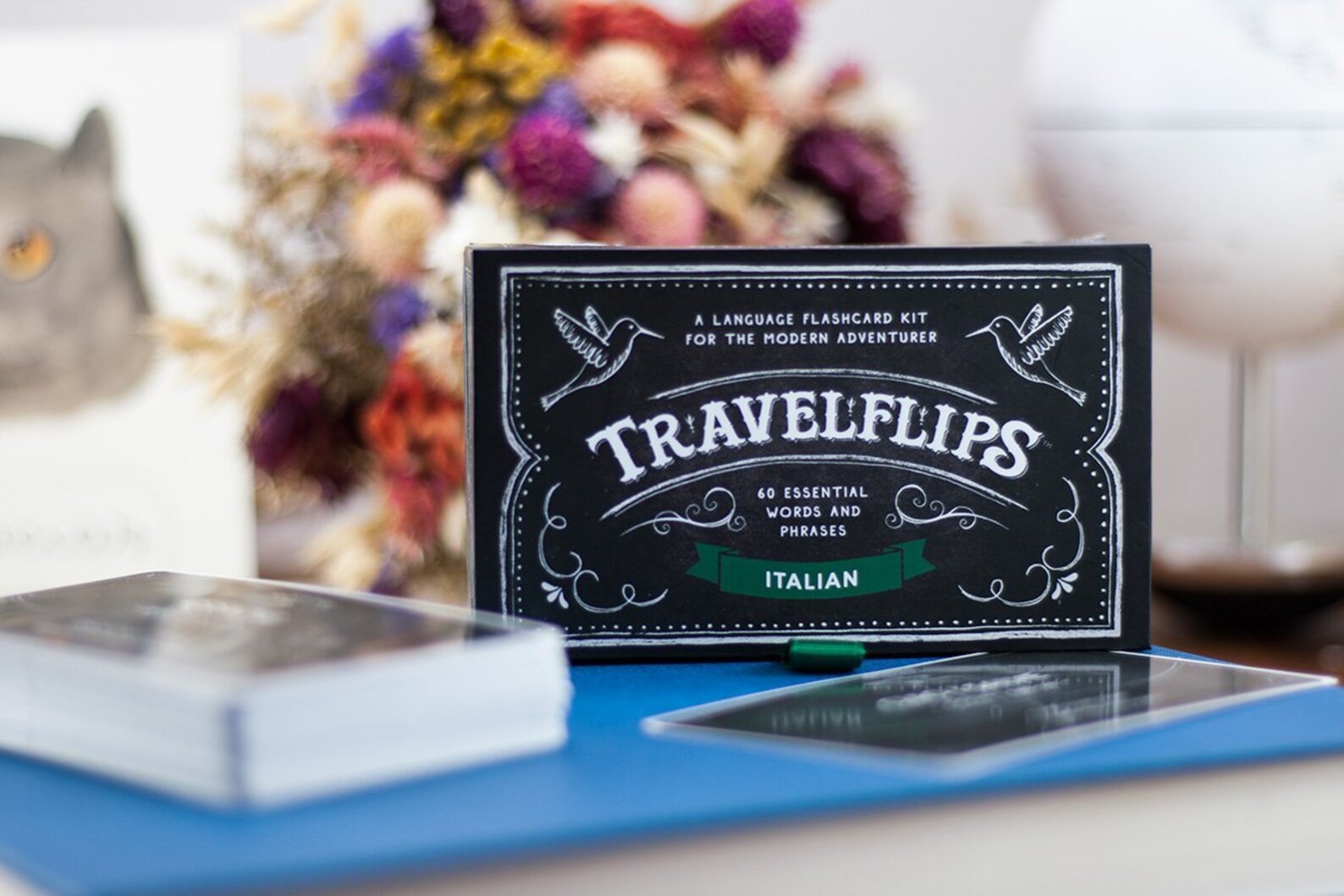 Italian Flash Cards Basic Words and Phrases for Beginners Etsy