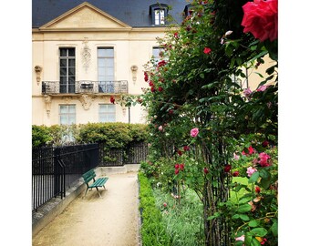 Paris Secret Gardens of the Marais Photograph, Paris France
