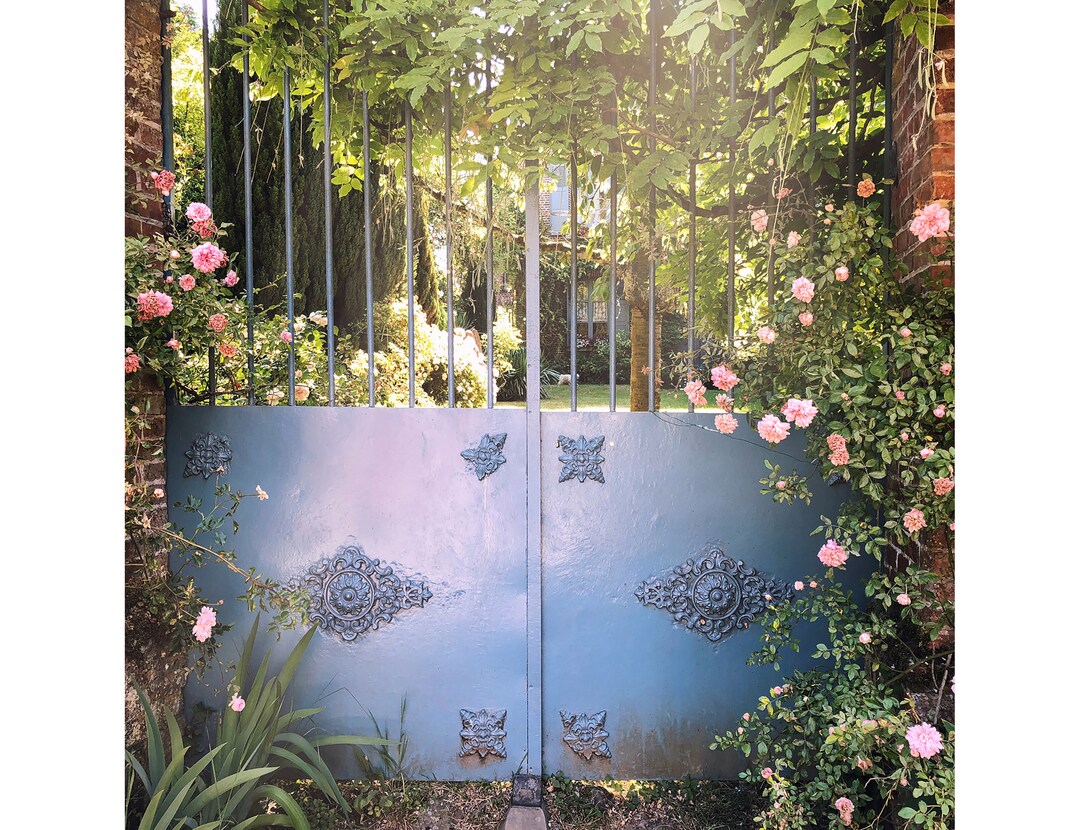 France Photograph Normandy Fence With Roses Etsy