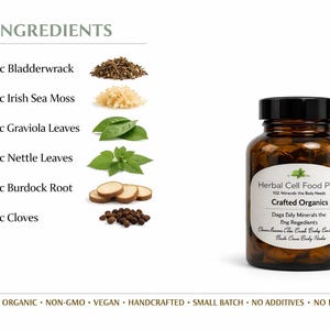 Peut inclure: Un flacon en verre brun de Herbal Cell Food Plus avec un bouchon noir, portant une &eacute;tiquette avec le texte Crafted Organics et 102 Minerals the Body Needs. L'image liste des ingr&eacute;dients comme le varech, la mousse d'Irlande, les feuilles de graviola, les feuilles d'ortie, la racine de bardane et les clous de girofle, avec en bas : all natural, organic, non-gmo, vegan, handcrafted, small batch, no additives, no preservatives.