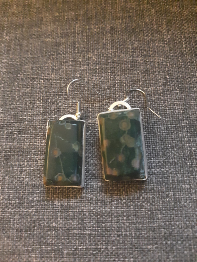 Bloodstone var. Orbicular Heliotrope set in fine silver earrings image 2