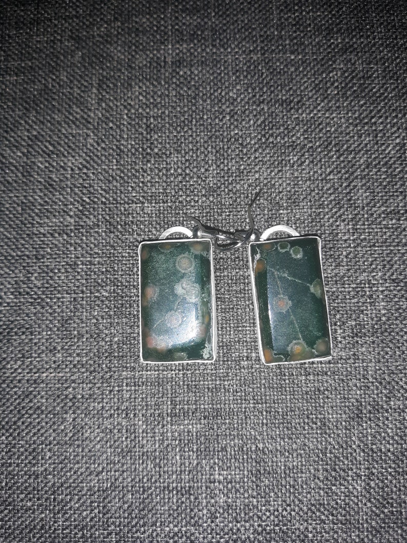 Bloodstone var. Orbicular Heliotrope set in fine silver earrings image 1