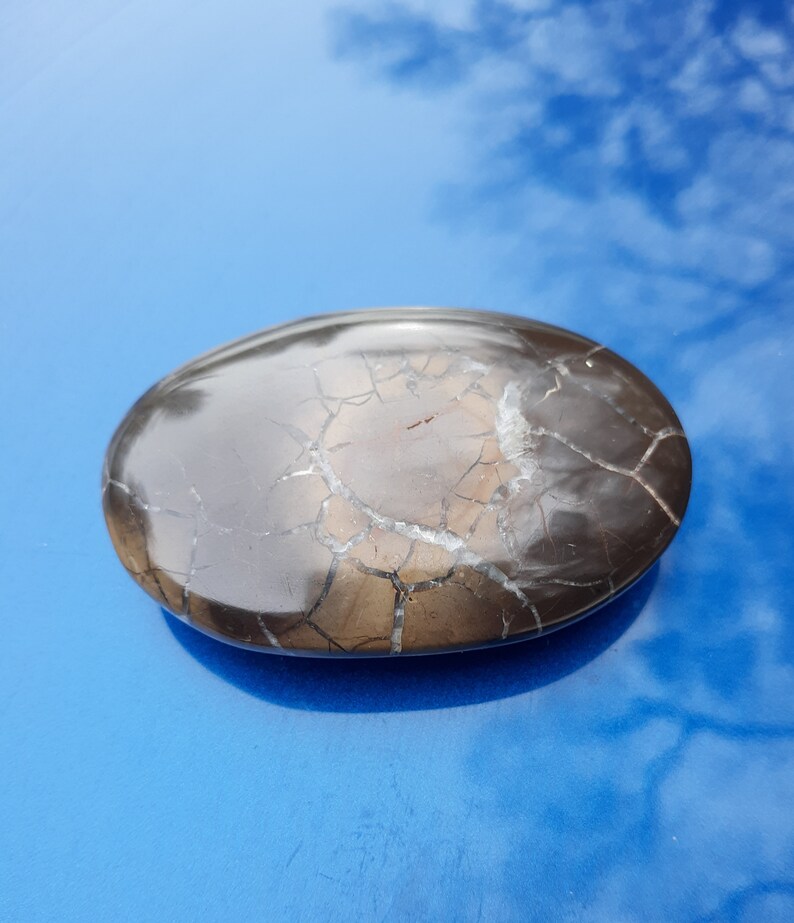 Septarian Nodule Michigan Lightning Stone Palm Etsy