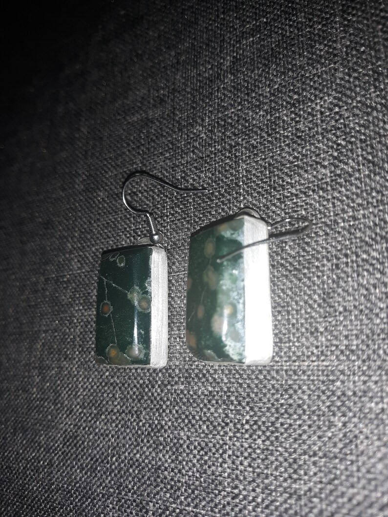 Bloodstone var. Orbicular Heliotrope set in fine silver earrings image 3