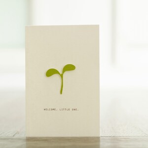 Carte de naissance faite main. Conception de petites pousses sur le thème des plantes. Respectueux de l'environnement et minimaliste