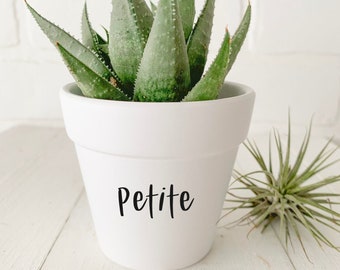 Petite - White clay plant pot 3" - Succulent and cactus planter