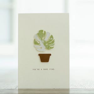 Carte de voeux plante rare - Monstera constellation thaïlandaise - Carte faite main pour toutes les occasions avec plante découpée sur papier cartonné écologique texturé