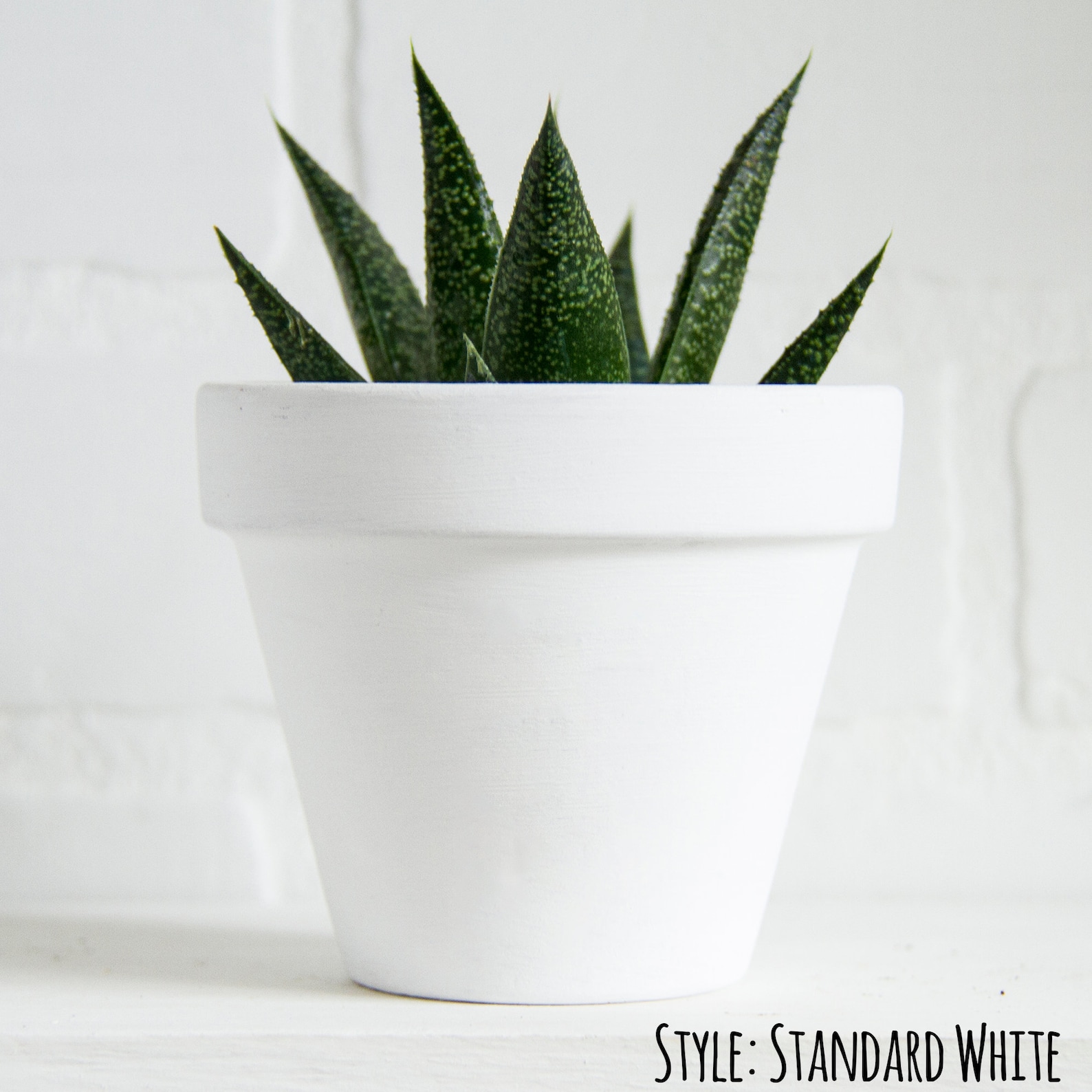 Love Grows Here White Plant Pot White Terracotta Plant Pot Etsy