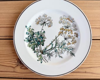 May include: White ceramic plate with a black rim, featuring a botanical illustration of a flowering plant with green leaves and white and yellow flower clusters. The plant illustration is labeled "Carum carvi".