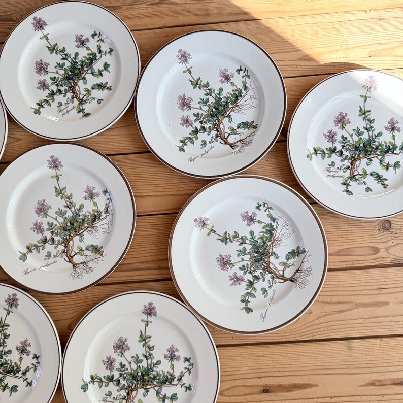May include: A collection of white ceramic plates with a botanical design featuring purple flowers, green leaves, and brown stems. The plates have a brown rim and are arranged on a wooden surface.