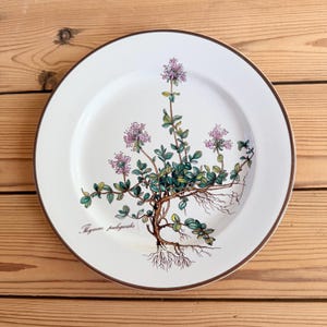 May include: White ceramic plate with a brown rim, featuring a botanical illustration of thyme (Thymus pulegioides). The design includes green leaves, purple flowers, and visible roots. The plate is set against a wooden background.