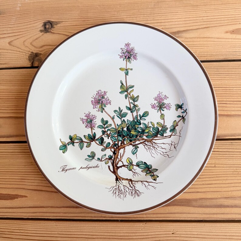 May include: White ceramic plate with a brown rim, featuring a botanical illustration of thyme (Thymus pulegioides). The design includes green leaves, purple flowers, and visible roots. The plate is set against a wooden background.