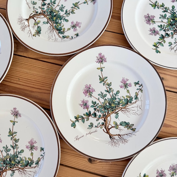 Assiettes Villeroy & Boch Botanica décor Thymus Pulegioides porcelaine vintage diamètre 21 cm