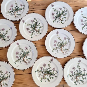 May include: A collection of white ceramic plates with a brown rim. Each plate features a botanical illustration of a plant with purple flowers, green leaves, and exposed roots. The plates are arranged on a wooden surface.