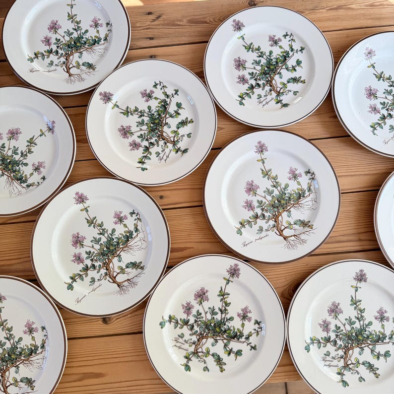 May include: A collection of white ceramic plates with a brown rim. Each plate features a botanical illustration of a plant with purple flowers, green leaves, and exposed roots. The plates are arranged on a wooden surface.