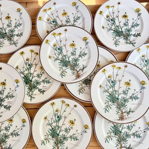 Antique Villeroy Boch - Etsy