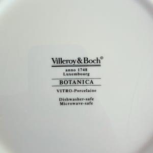May include: Close-up of a white porcelain plate with the text "Villeroy & Boch" and "BOTANICA". Additional text includes "anno 1748 Luxembourg", "VITRO-Porcelaine", "Dishwasher-safe", and "Microwave-safe".