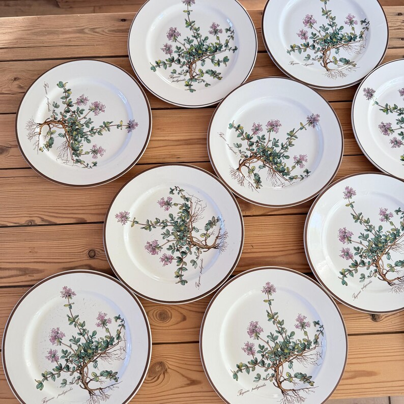 May include: A collection of white ceramic plates with a brown rim. Each plate features a botanical illustration of a plant with purple flowers, green leaves, and a root system. The plates are arranged on a wooden surface.