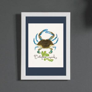 Blue Crab Watercolor Painting Fishing Decor Minimalist Beach Art Summer Ocean Art Tropical Sea life Seaweed Crab Art Nautical Coastal Decor