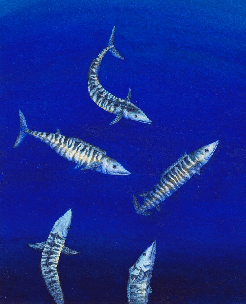Boat Fishing Watercolor Painting DoradoMahi MahiOnoWahoo Art Blue OceanTexas Gulf CoastalBeach Gift for HimNautical Decor Spearfishing
