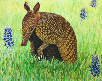 May include: Watercolor painting of an armadillo in a grassy field with bluebonnet flowers. The armadillo has a brown and tan shell and is surrounded by green grass and blue flowers. The artwork has a natural, outdoorsy theme.