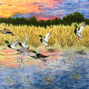 Ducks Watercolor Painting Mallard Wildlife Duck Hunting Outdoors Sunrise Dawn Texas Landscape Art Wetlands Wall Art Farmhouse Decor Bird Art