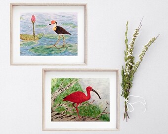Tropical Bird Watercolor Prints: Scarlet Ibis & Jacana Set