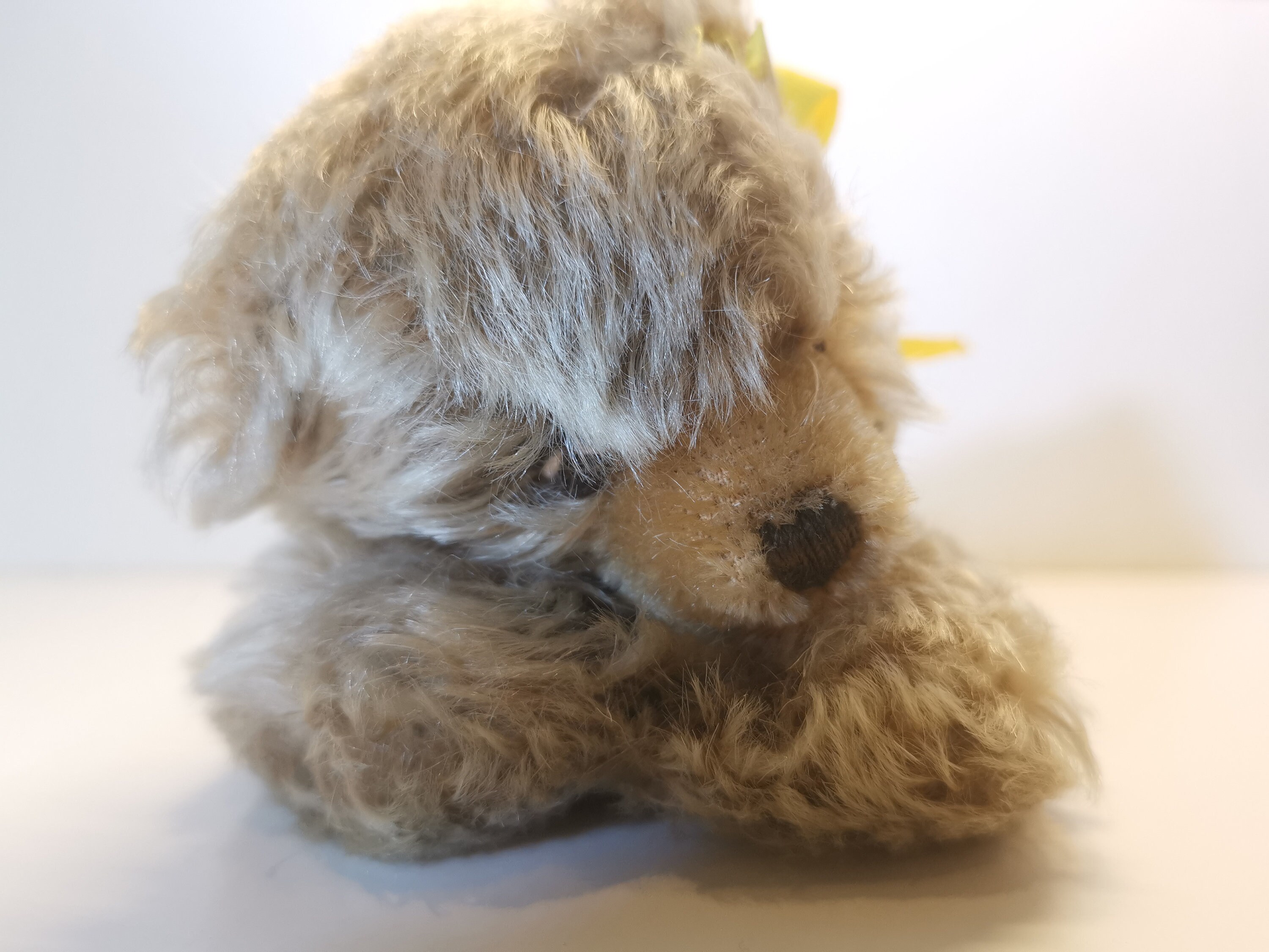 steiff　シュタイフ　ゾッティ il_1080xN.5793630771_72dr.jpg