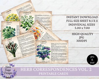 30 Kräuterkorrespondenzen Karten Vol. 2, Kräuter-Profile, Grimoire Seiten, Witch Junk Journal Zubehör, Sofort Download