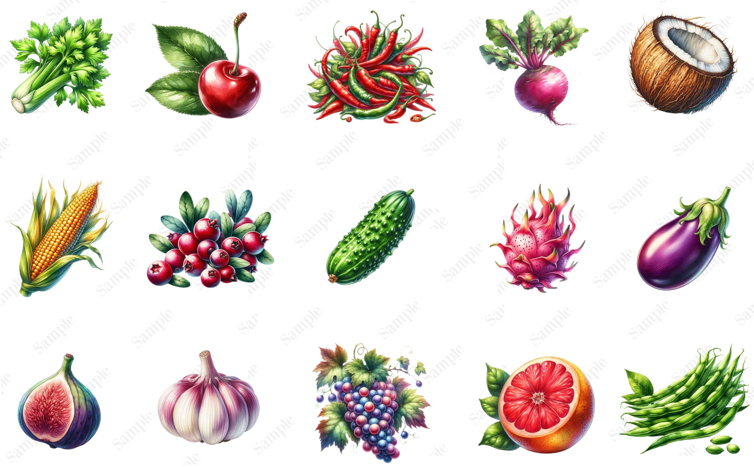 Fruit and Vegetable Clipart Bundle, Watercolor Fruit and Vegetable ...