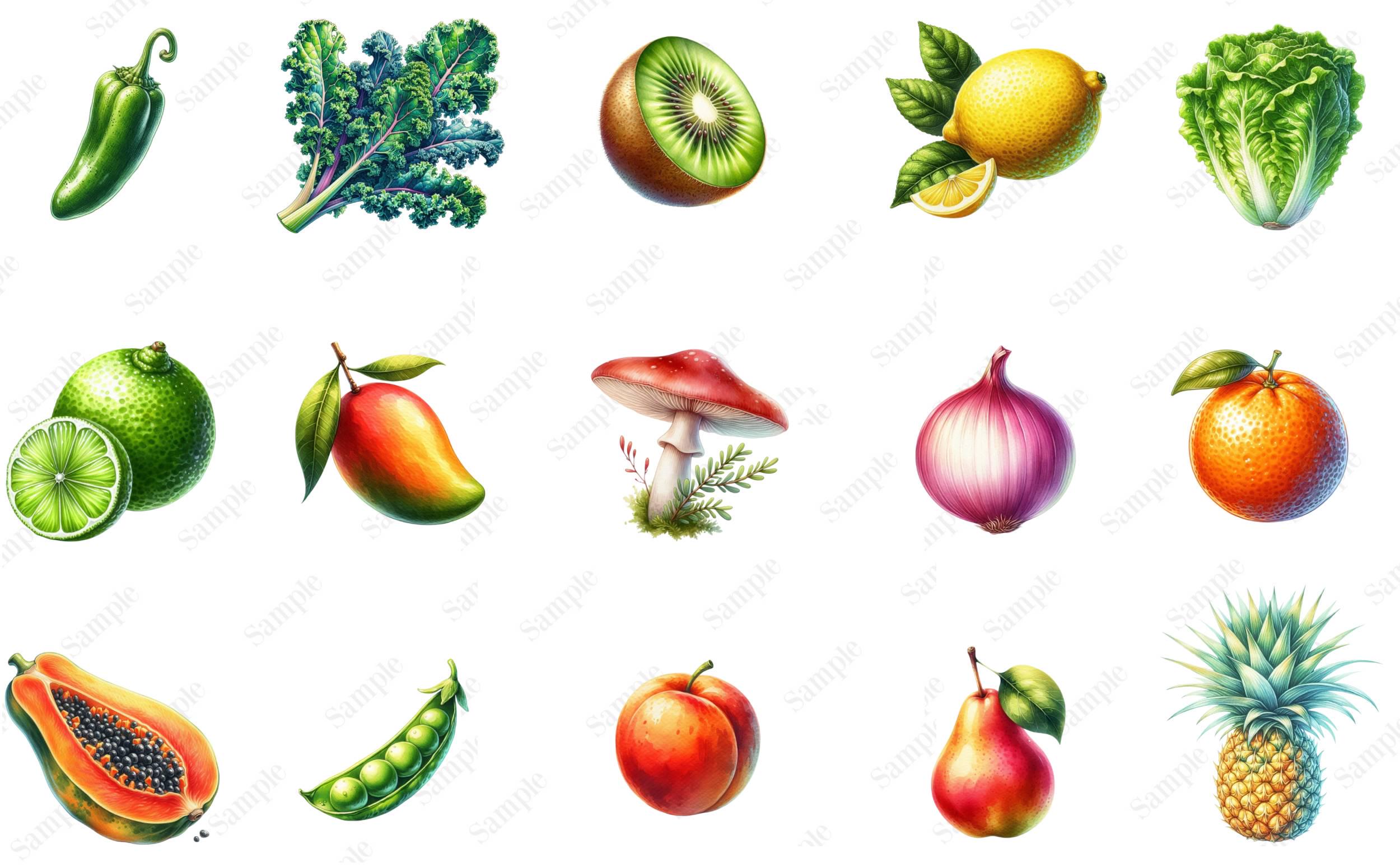 Fruit and Vegetable Clipart Bundle, Watercolor Fruit and Vegetable ...