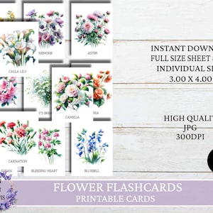 Printable 60 Flowers Flashcards, Montessori Flower Name Learning, Homeschooling Materials, Plant Identification Cards, Instant Download