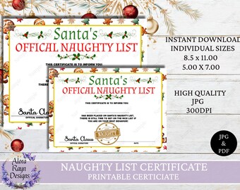 Druckbares Naughty List Zertifikat, offizielles Dokument, sofort Download, Naughty List