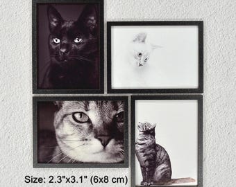 1:6 Dollhouse Wall Decor - Doll Miniature Cat Photo.