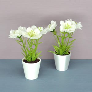 1:6 Scale Dollhouse Flowers in Pot. Miniature Plants in Pots. Doll Indoor Plants.
