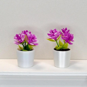 1:6 Scale Dollhouse Miniature Flowers in Pot. Miniature Plants. Flower for 11.5-12 inch Dolls.