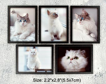 1:6 Dollhouse Wall Art - Miniature Framed Picture Cat