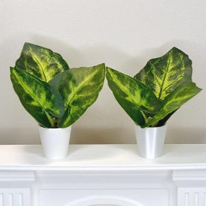 1:6 Miniature Plants in Pots. Dollhouse Indoor Plants.