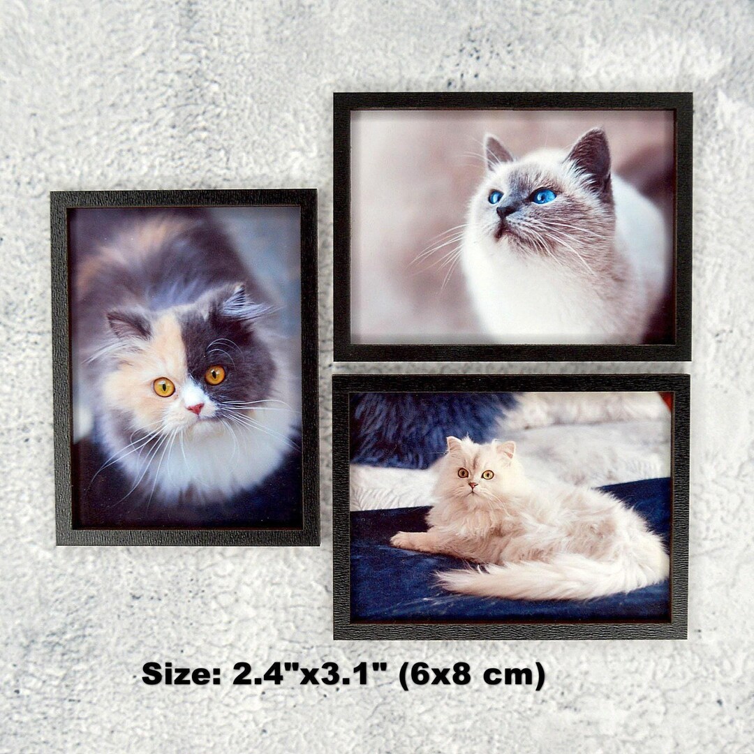 Mini Cat Picture Frame 1:6 Miniature Framed Cat Picture - Dollhouse Wall Art - Etsy