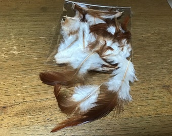 Craft feathers FREE SHIPPING(B)