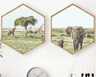 Set of 2 Framed Hexagon Wall Art; Landscape Art Print; Modern Wall Art; Hexagon Canvas Print; Elephant Wall print