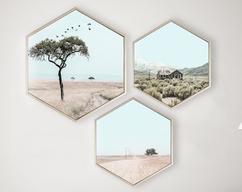 Set of 3 Framed Hexagon Wall Art; Landscape Art Print; Modern Wall Art; Hexagon Canvas Print