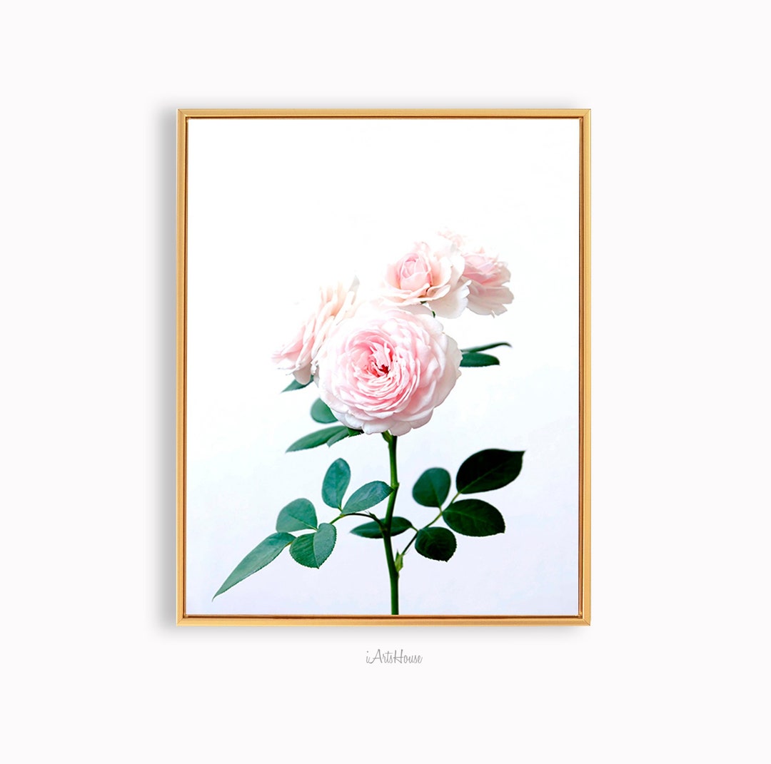 Floral Canvas Art Print: Pink Roses, Gold Frame, Modern Wall Decor - Etsy