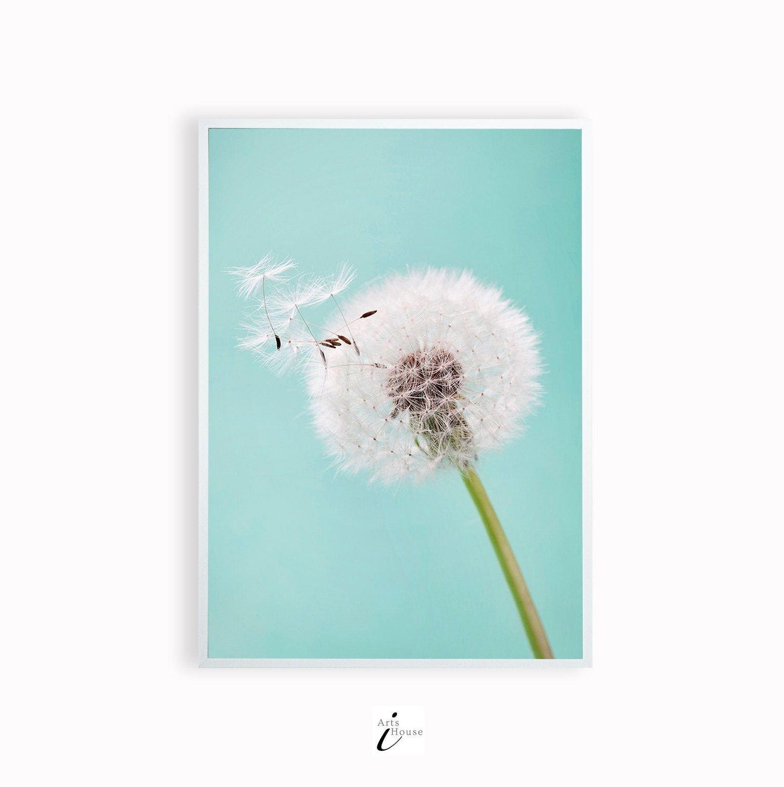 Framed Dandelion Wall Print Botanical Canvas Art Modern Wall Etsy