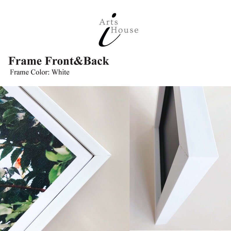 K&ouml;nnte beinhalten: Wei&szlig; gerahmtes Kunstwerk, das die Vorder- und R&uuml;ckseite zeigt. Der Rahmen ist wei&szlig; und das Kunstwerk zeigt ein gr&uuml;nes und orangefarbenes Blumendesign. Der Text "Frame Front & Back" und "Frame Color: White" ist sichtbar.